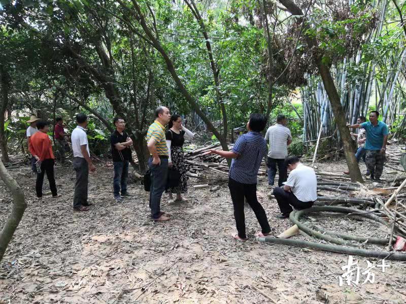 群众有事就找司徒书记，亲切地称他为“司徒大哥”。