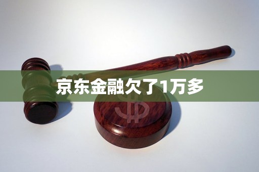 京东金融欠了1万多